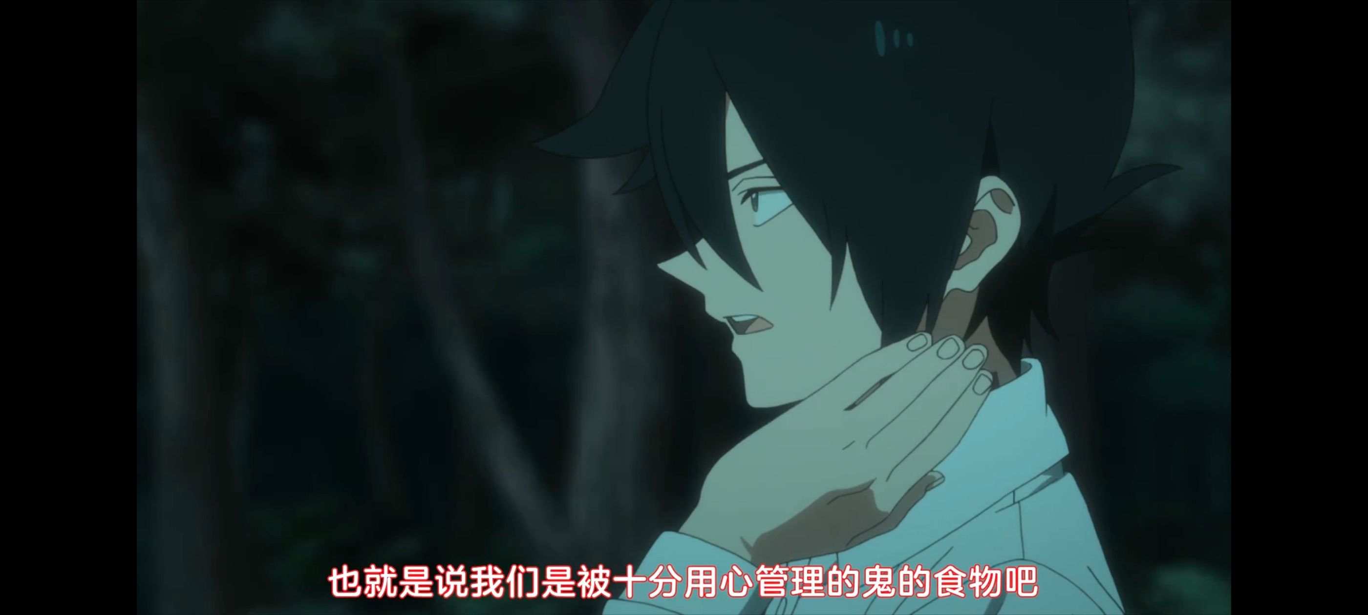 约定的梦幻岛,动画,动漫,番剧,ACG