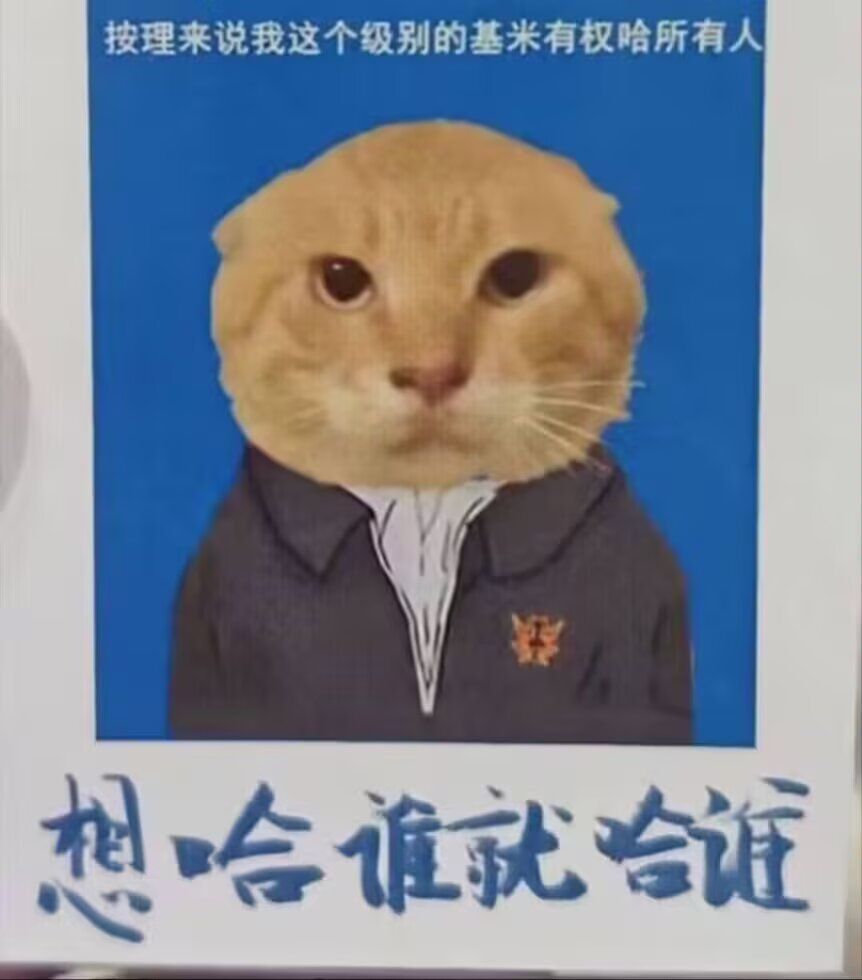 梗图,明日方舟,木柜子