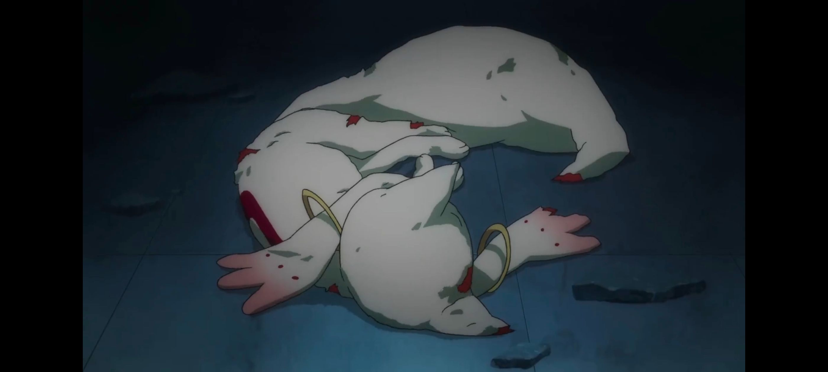 魔法少女小圆,魔法少女,动漫,动画,番剧,ACG