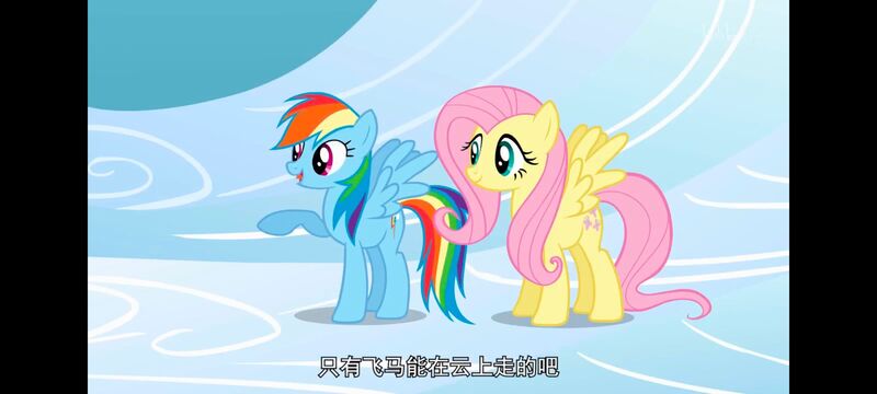 小马宝莉,小马宝莉友谊魔法,彩虹小马,我的小马驹,动画,动漫,番剧,ACG