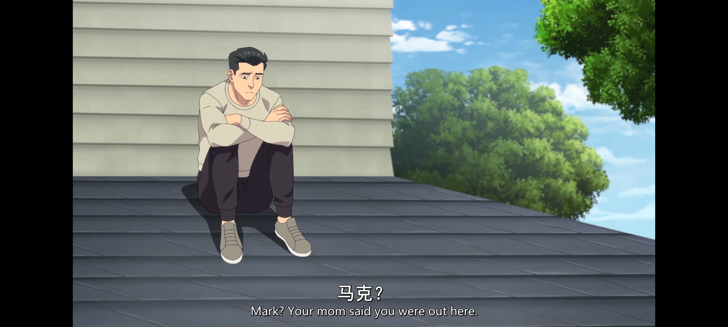 无敌少侠,image,动漫,动画,番剧,二次元,ACG