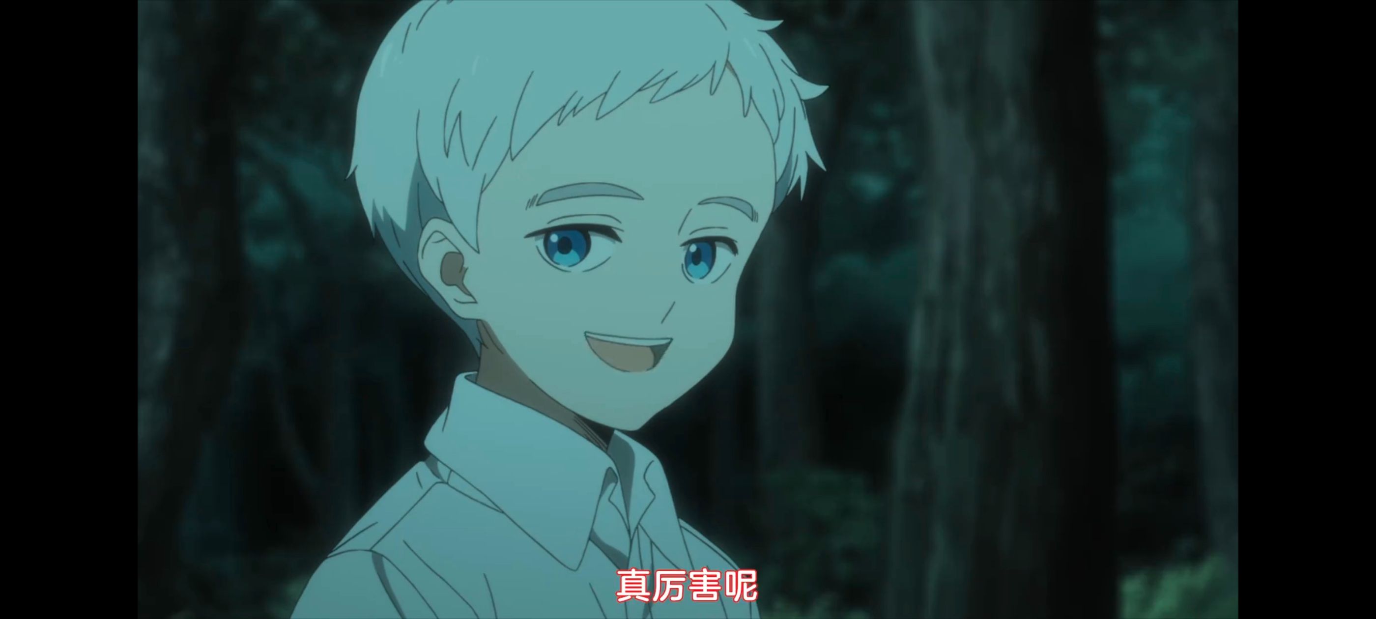 约定的梦幻岛,动画,动漫,番剧,ACG