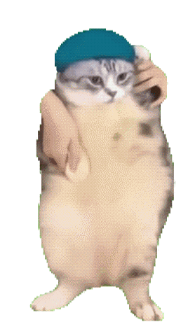动图,GIF,meme
