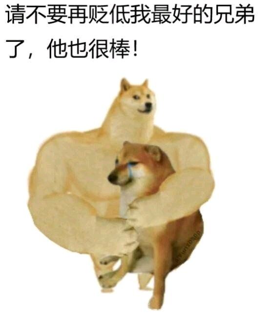 动态,表情包