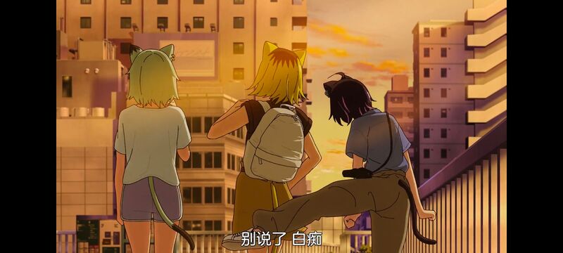 尼古喵喵,雅尼猫,动画,动漫,番剧,日漫,二次元,ACG
