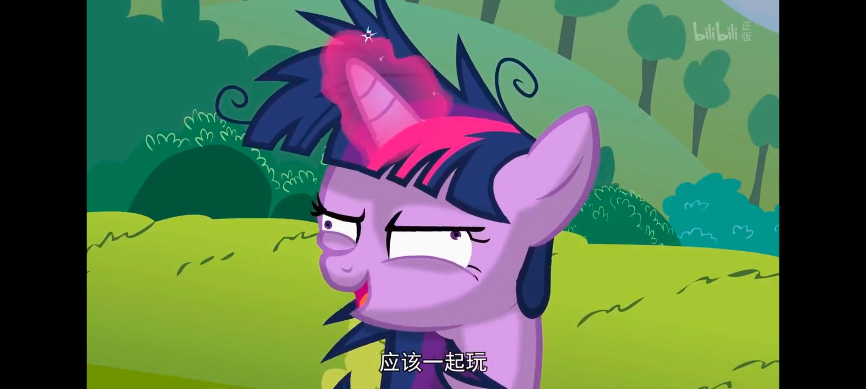 小马宝莉,小马宝莉友谊魔法,彩虹小马,我的小马驹,动画,动漫,番剧,ACG