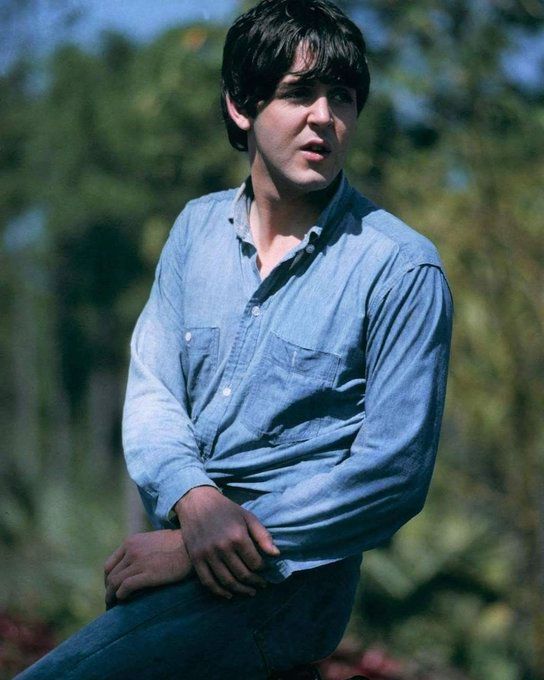 披头士,Thebeatles,Beatlemania,beatle,约翰列侬,保罗麦卡特尼,林戈斯塔尔,乔治哈里森