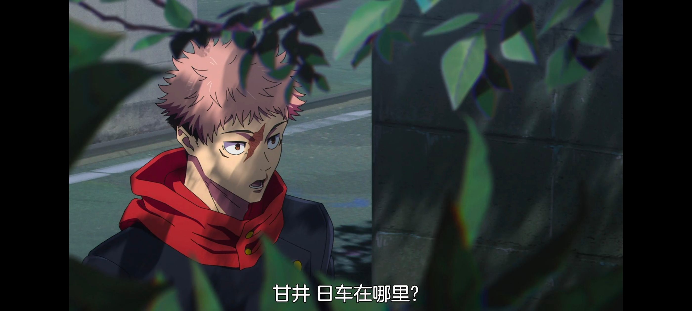 咒术回战,咒术回战死灭回游,动画,动漫,番剧,ACG