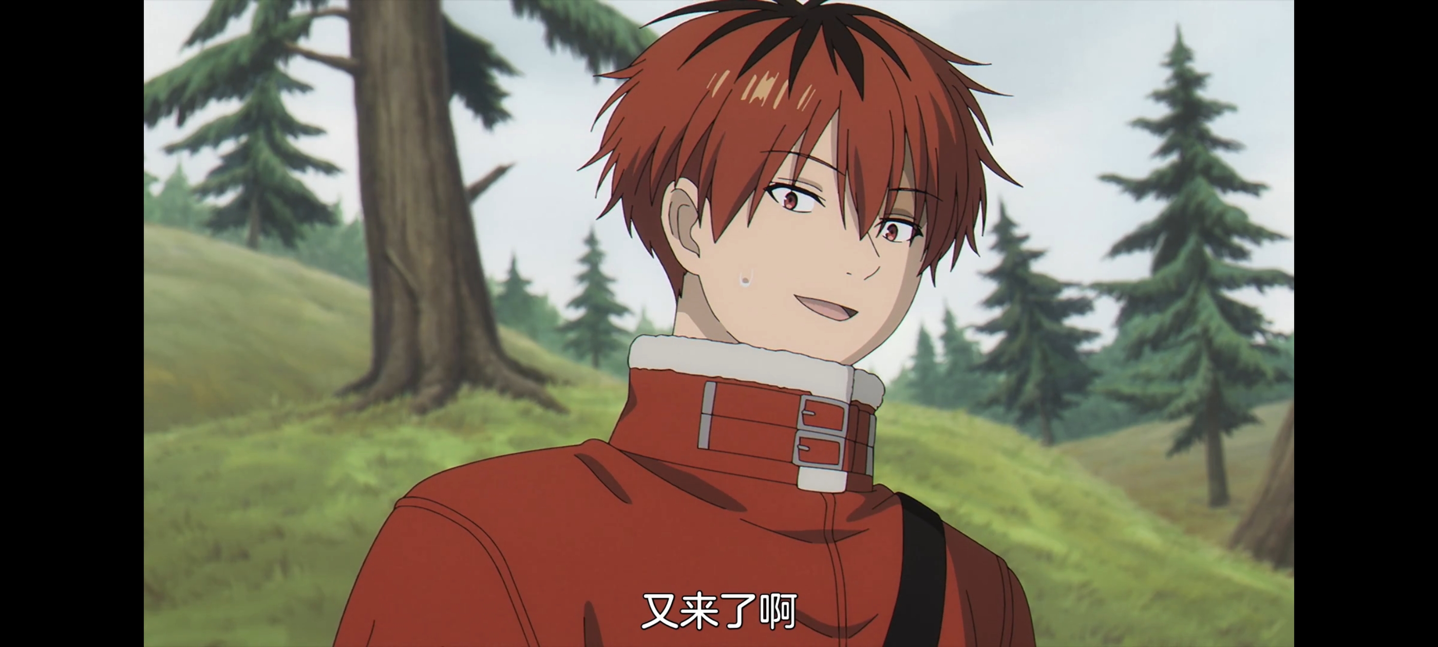 葬送的芙莉莲,动画,动漫,番剧,二次元,ACG