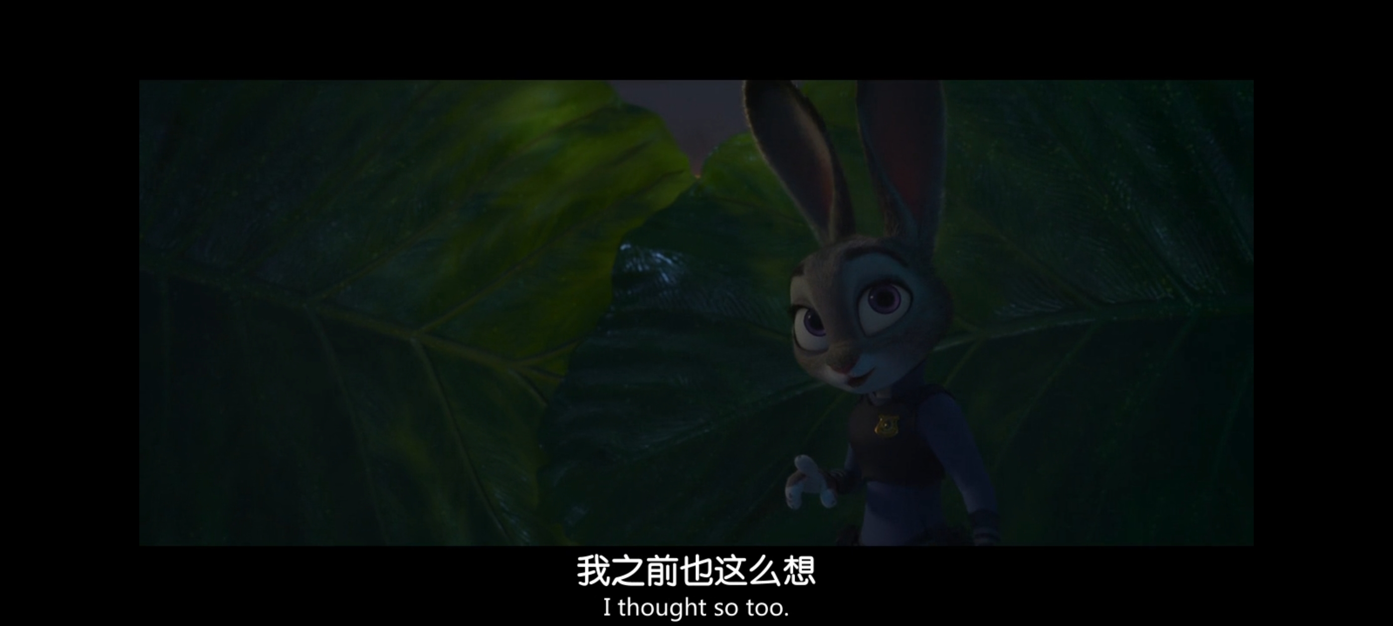 疯狂动物城,动画电影,动漫,动画,电影,二次元,ACG