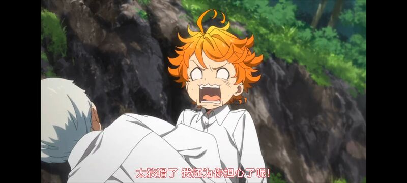 约定的梦幻岛,动画,动漫,番剧,ACG