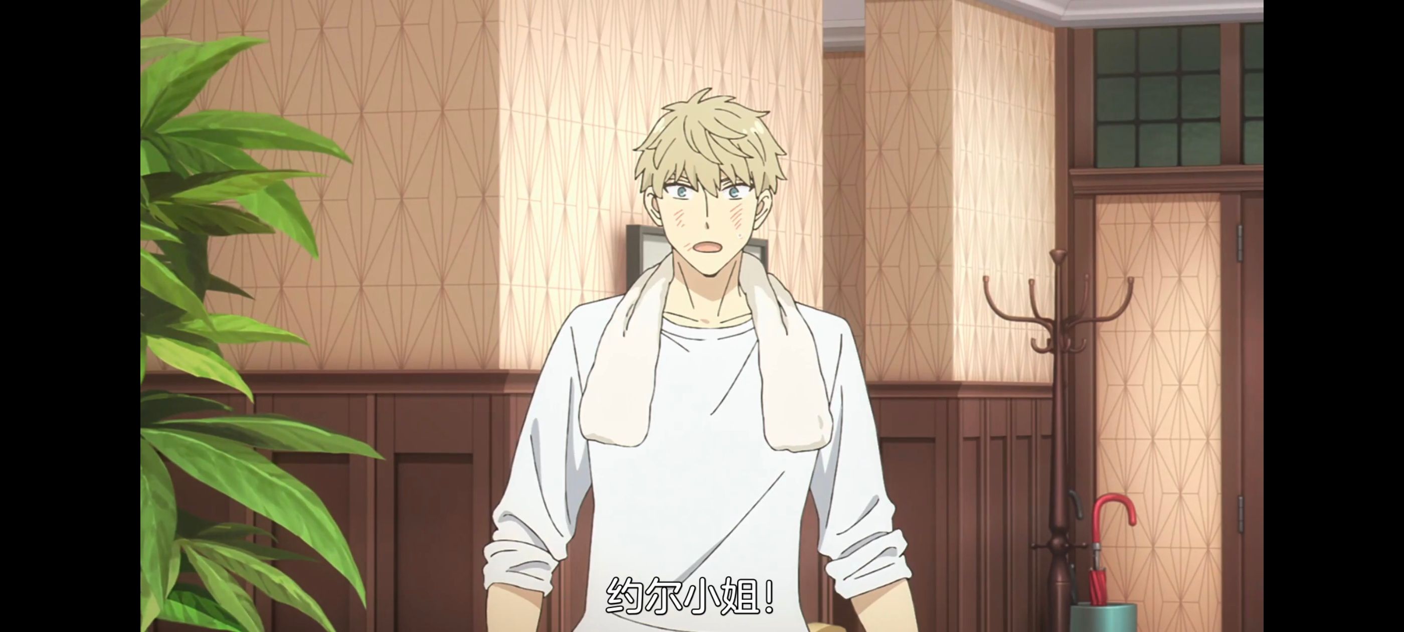 间谍过家家,SPYFAMILY,动画,动漫,番剧,ACG