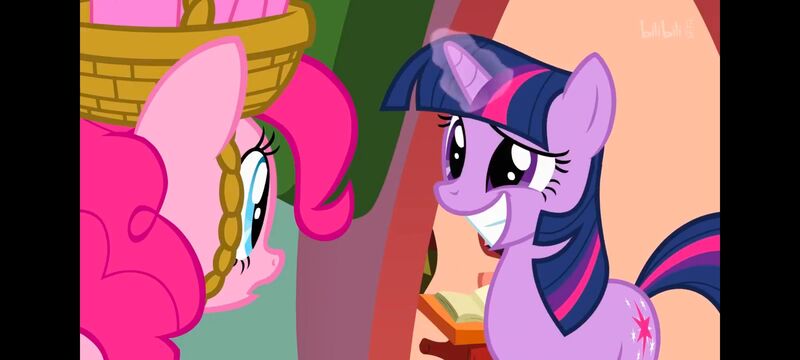 小马宝莉,小马宝莉友谊魔法,彩虹小马,我的小马驹,动画,动漫,番剧,ACG