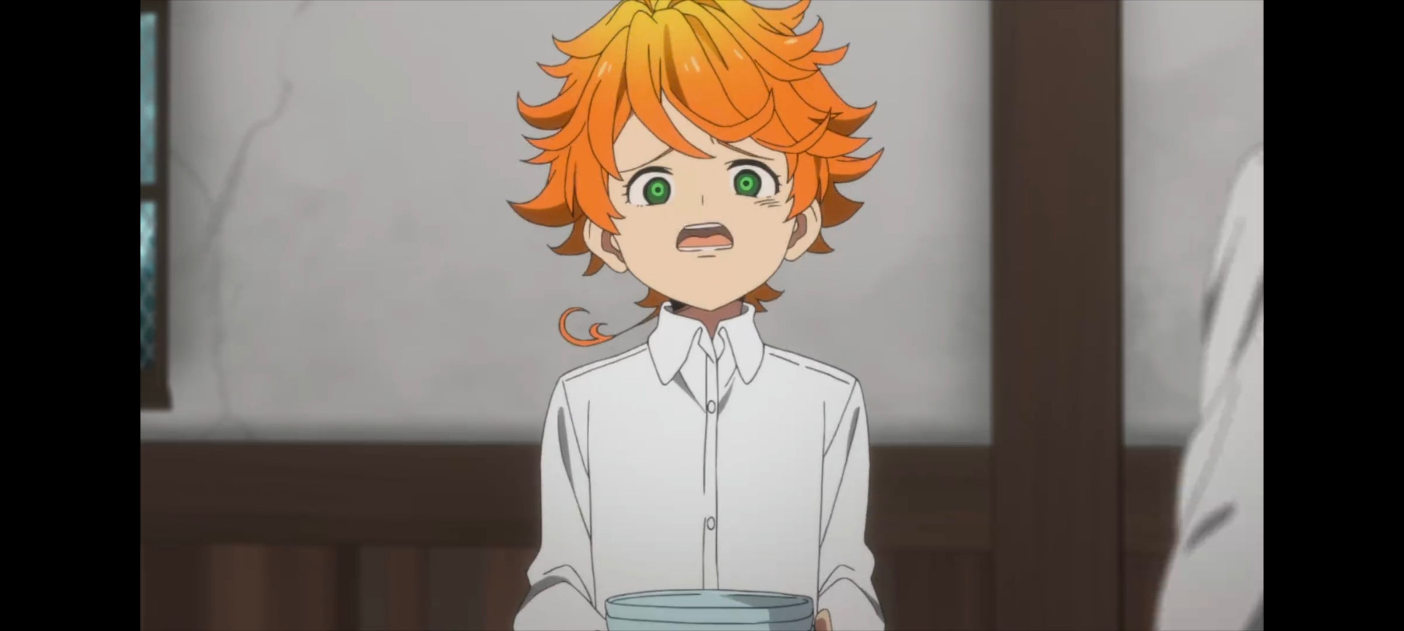 约定的梦幻岛,动画,动漫,番剧,ACG