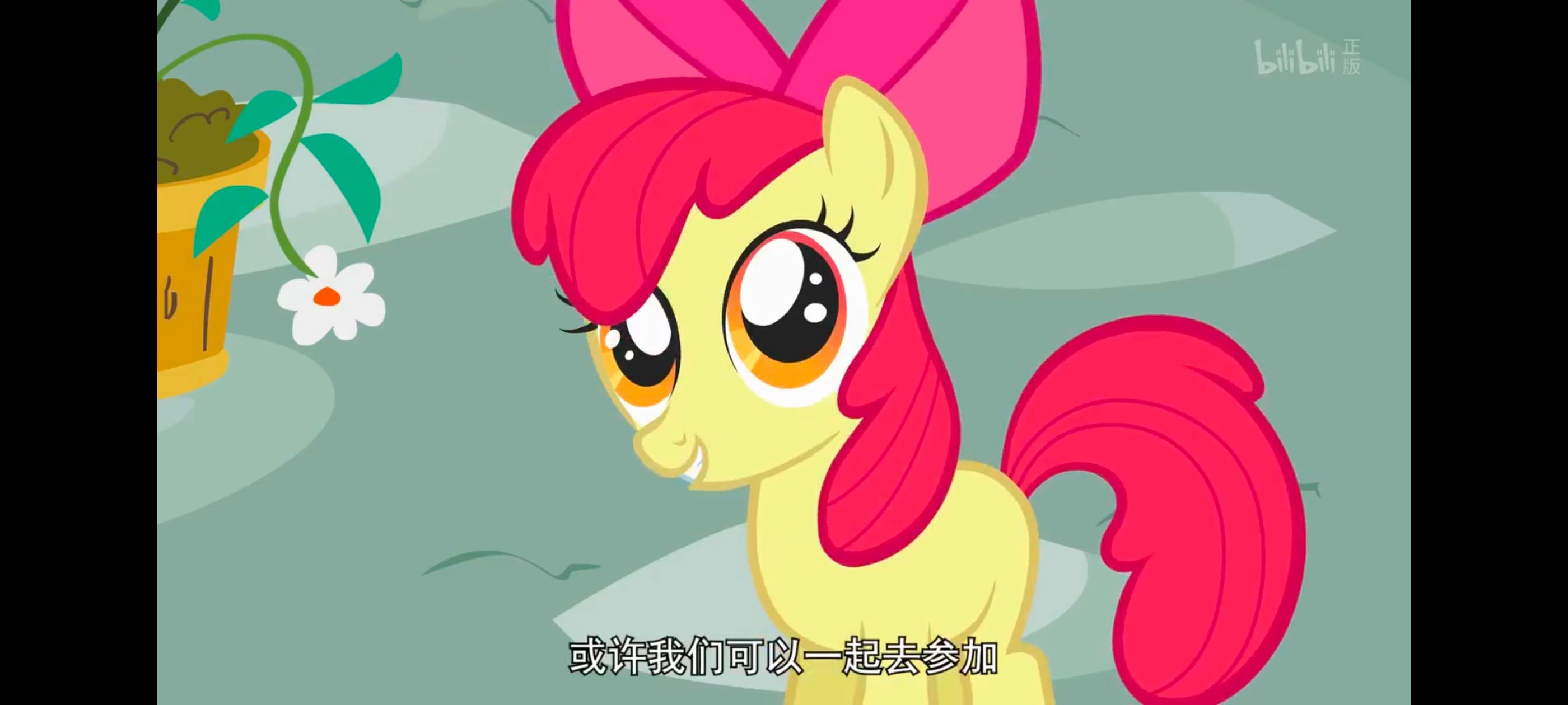 小马宝莉,小马宝莉友谊魔法,彩虹小马,我的小马驹,动画,动漫,番剧,ACG