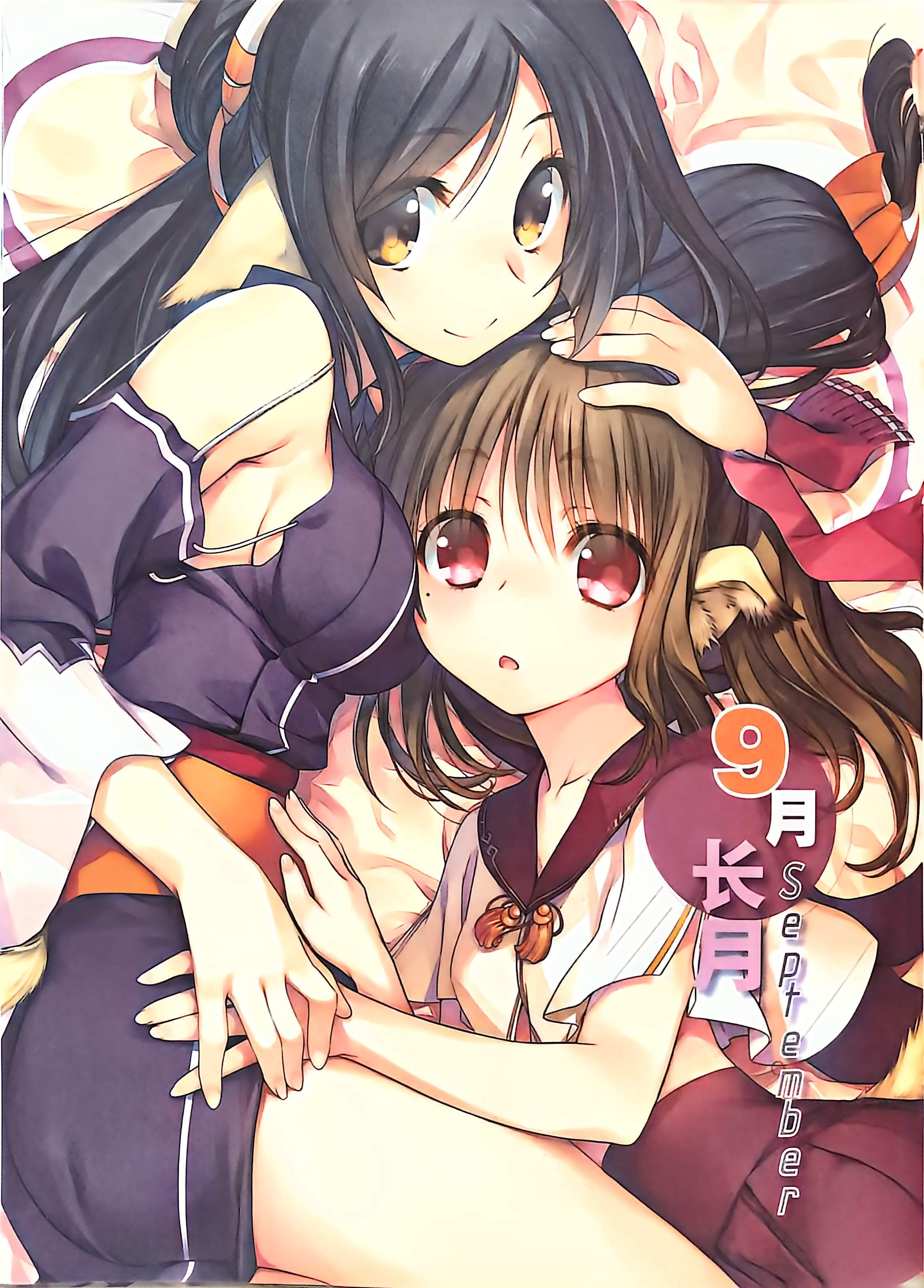 二次元狂热,GALgame,恋爱游戏