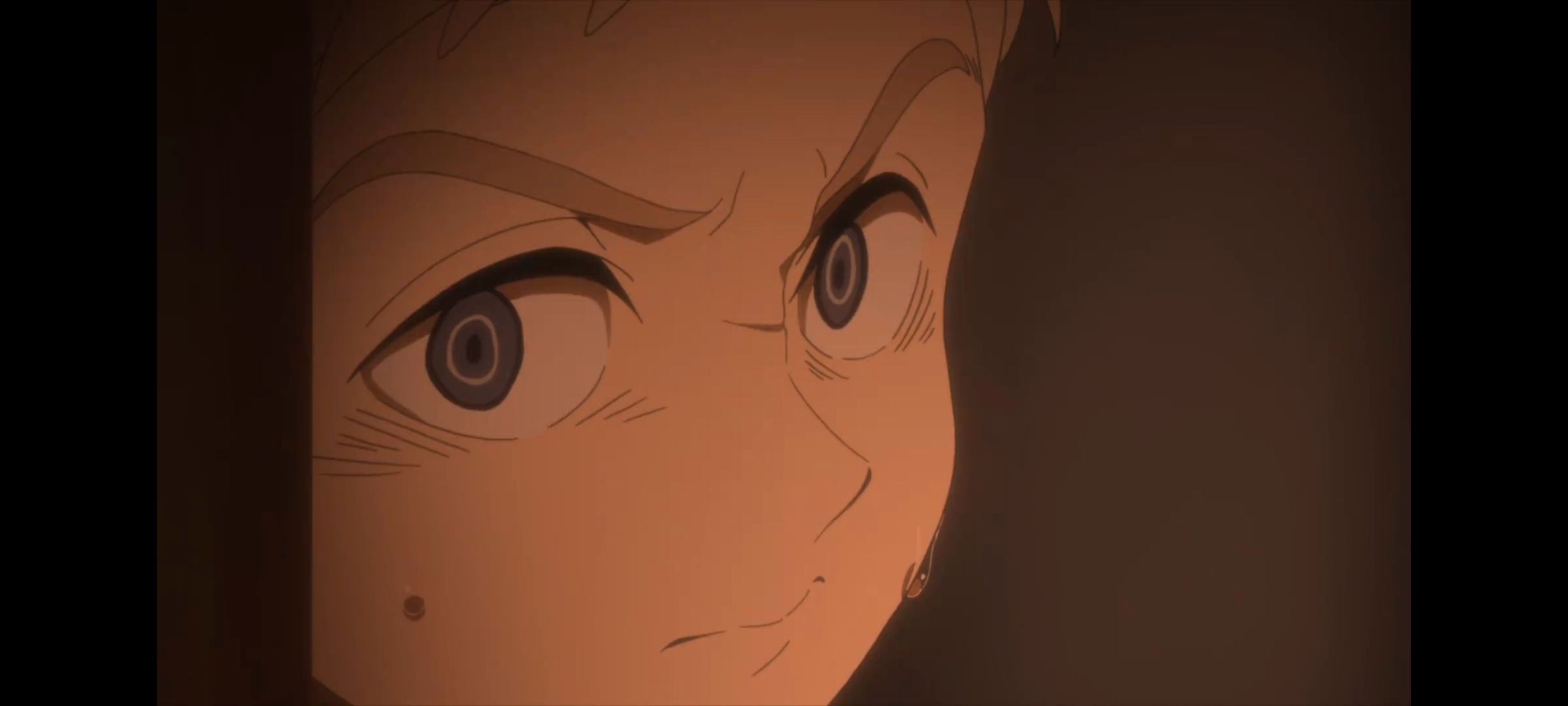 约定的梦幻岛,动画,动漫,番剧,ACG