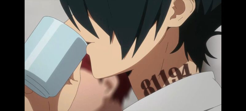 约定的梦幻岛,动画,动漫,番剧,ACG