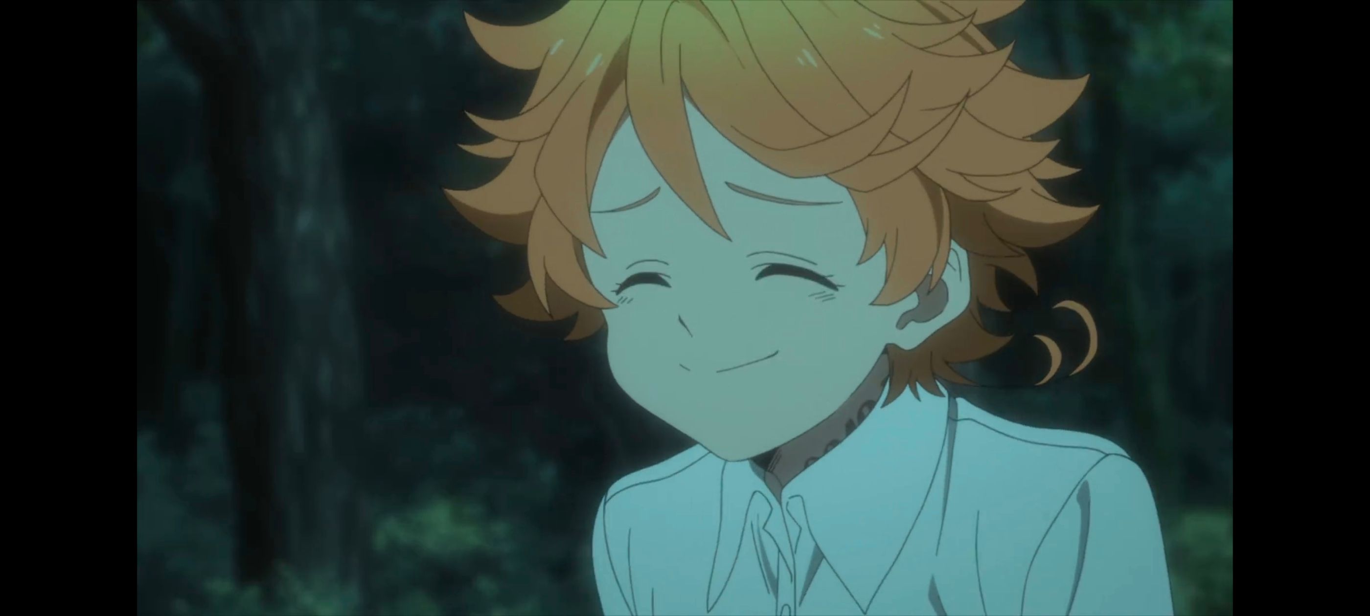 约定的梦幻岛,动画,动漫,番剧,ACG