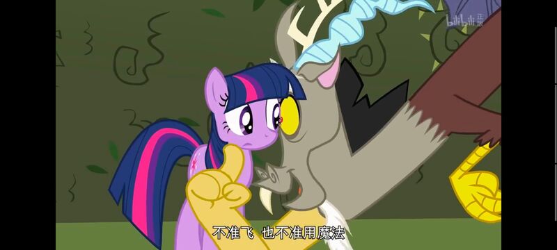 小马宝莉,小马宝莉友谊魔法,彩虹小马,我的小马驹,动画,动漫,番剧,ACG