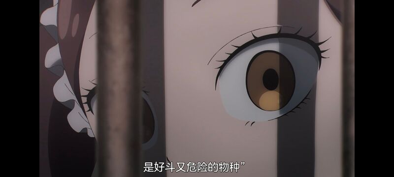 间谍过家家,SPYFAMILY,动画,动漫,番剧,ACG