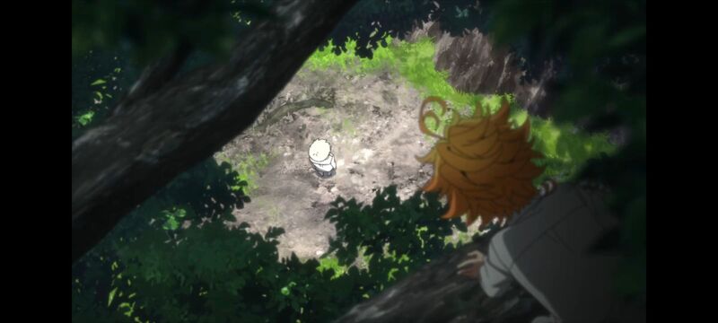 约定的梦幻岛,动画,动漫,番剧,ACG