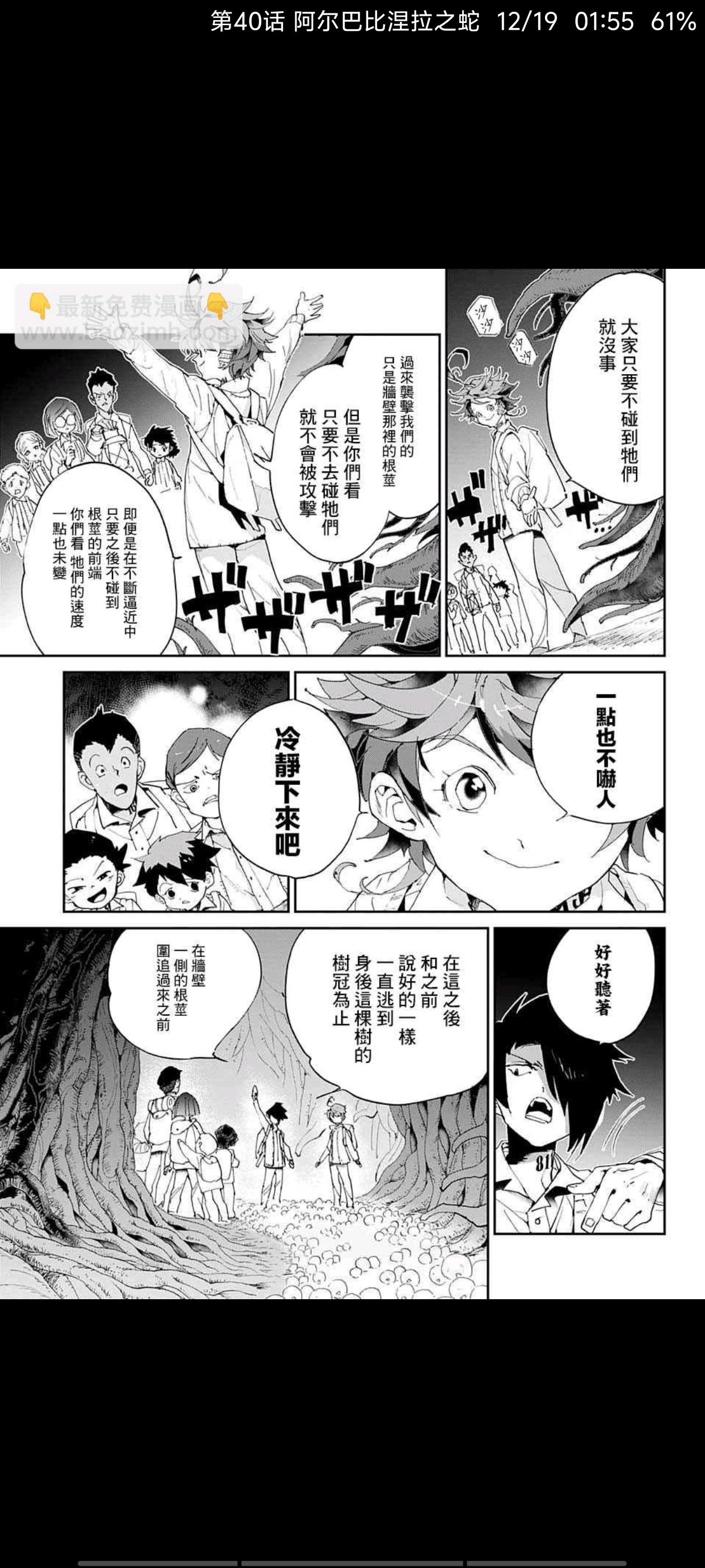 约定的梦幻岛,漫画,动漫,ACG