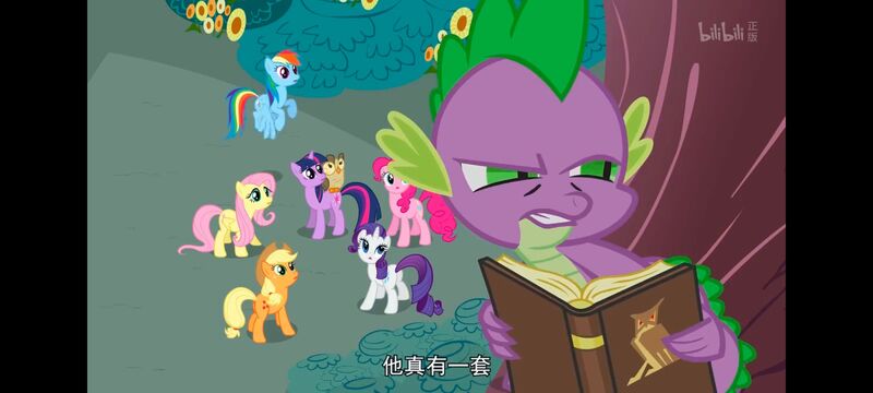 小马宝莉,彩虹小马,我的小马驹,动画,动漫,番剧,ACG,小马宝莉友谊魔法