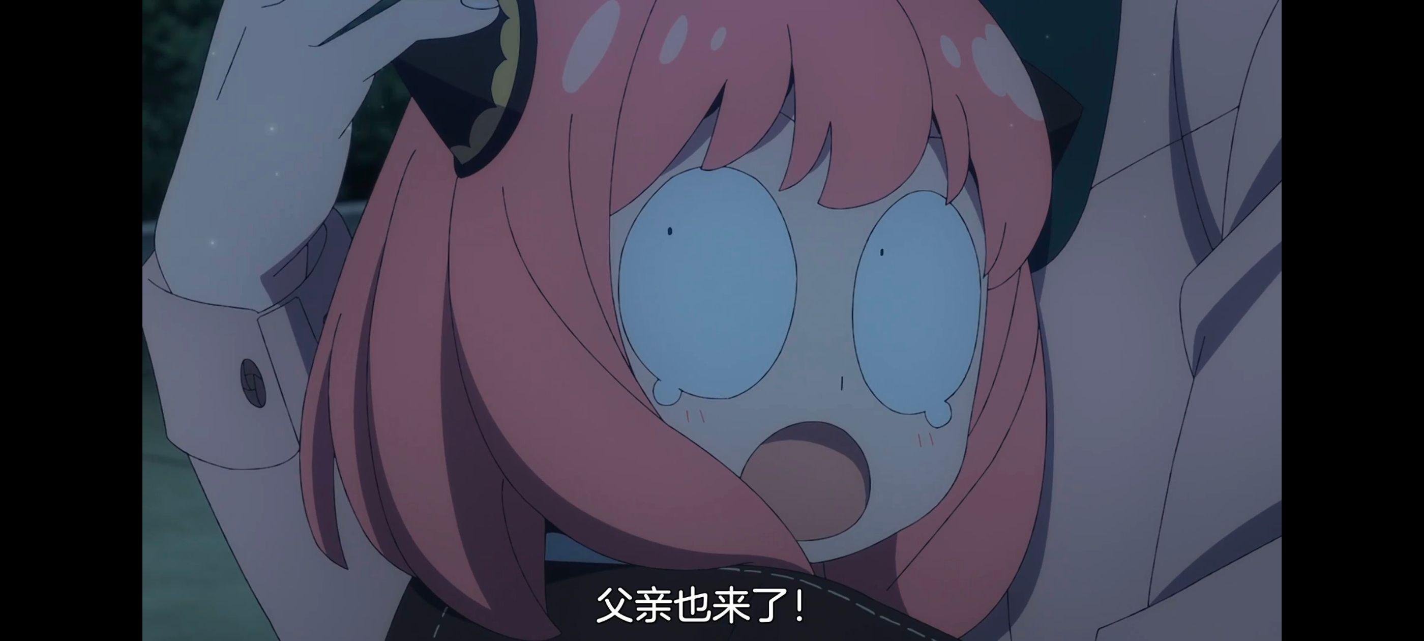 间谍过家家,SPYFAMILY,动画,动漫,番剧,ACG