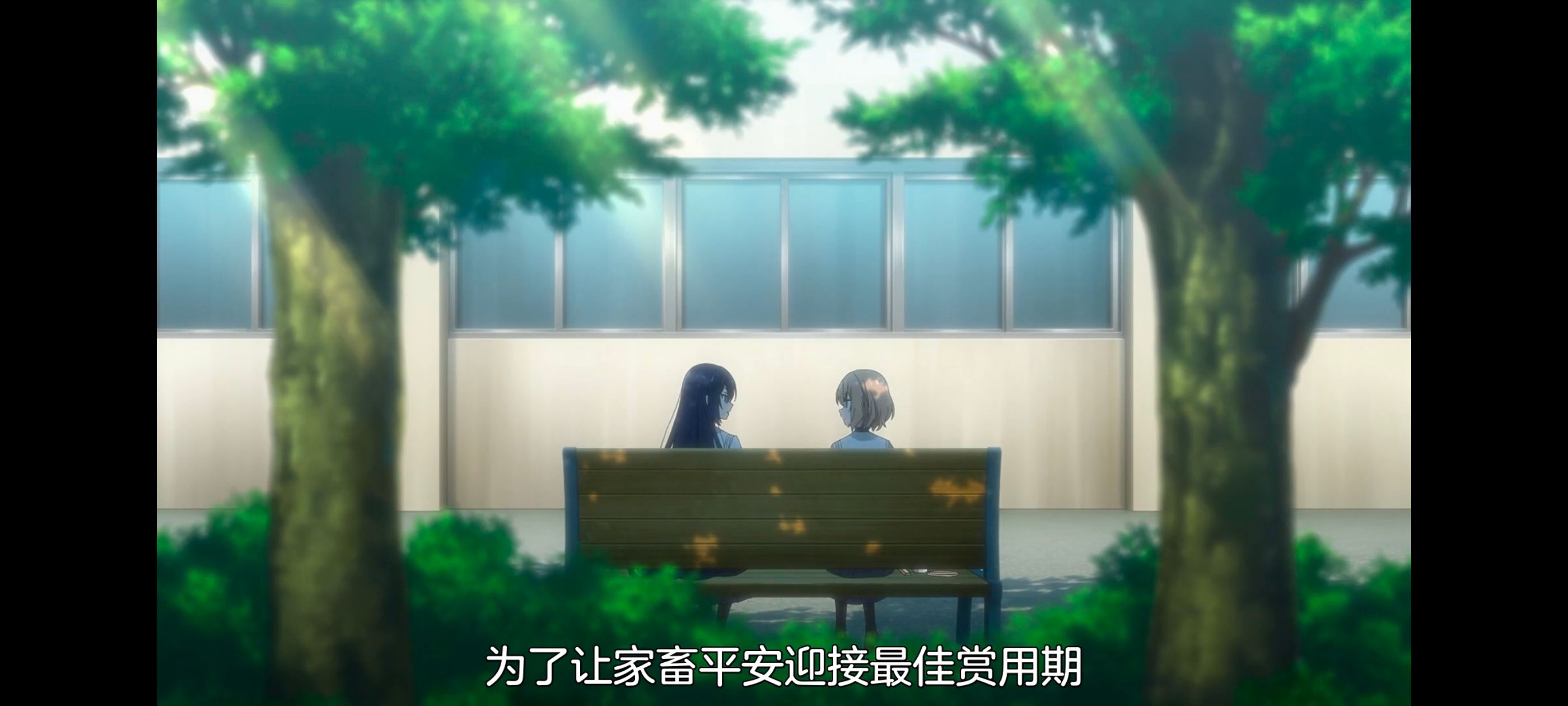 /static/9459368debee66c6d6f34dc09712d008478b57e9e43c0cfe7001ad20bc46a5b3.jpg