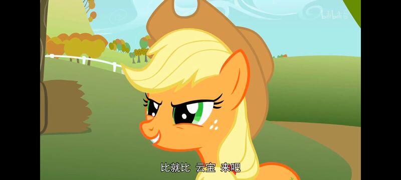 小马宝莉,小马宝莉友谊魔法,彩虹小马,我的小马驹,动画,动漫,番剧,ACG