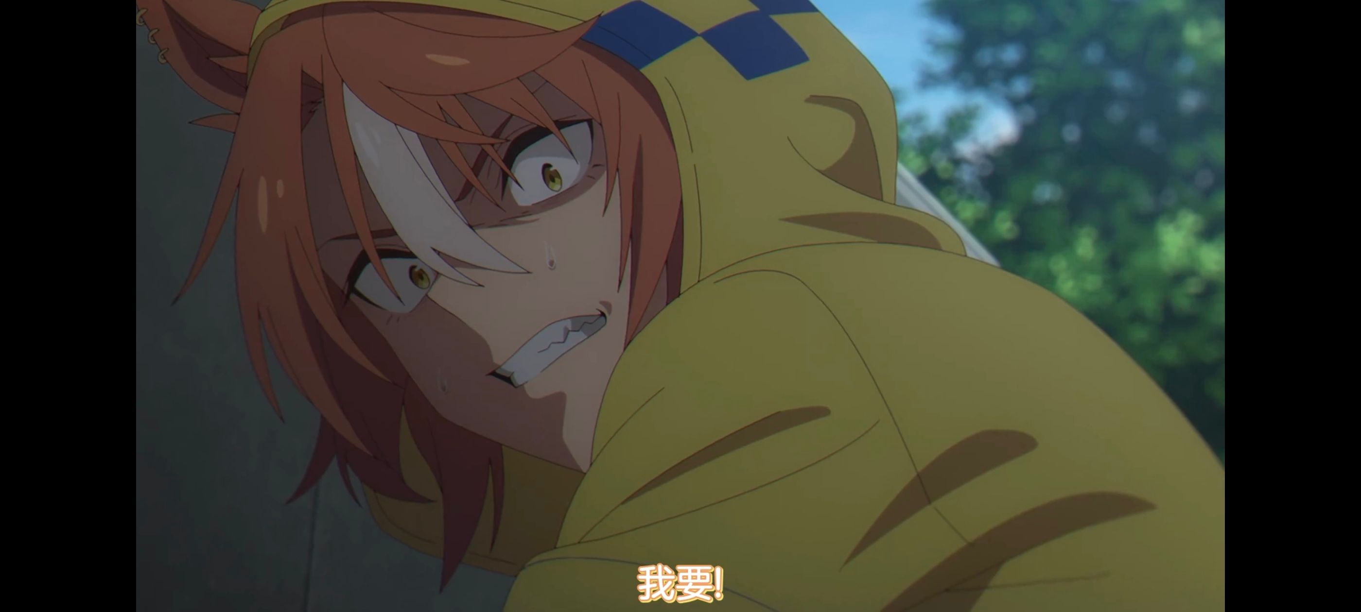 赛马娘,赛马娘PrettyDreby,芦毛灰姑娘,赛马娘芦毛灰姑娘,动画,动漫,番剧,ACG