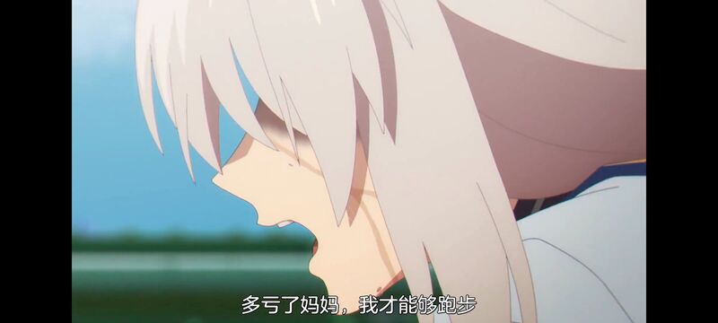 赛马娘,赛马娘PrettyDreby,芦毛灰姑娘,赛马娘芦毛灰姑娘,动画,动漫,番剧,ACG