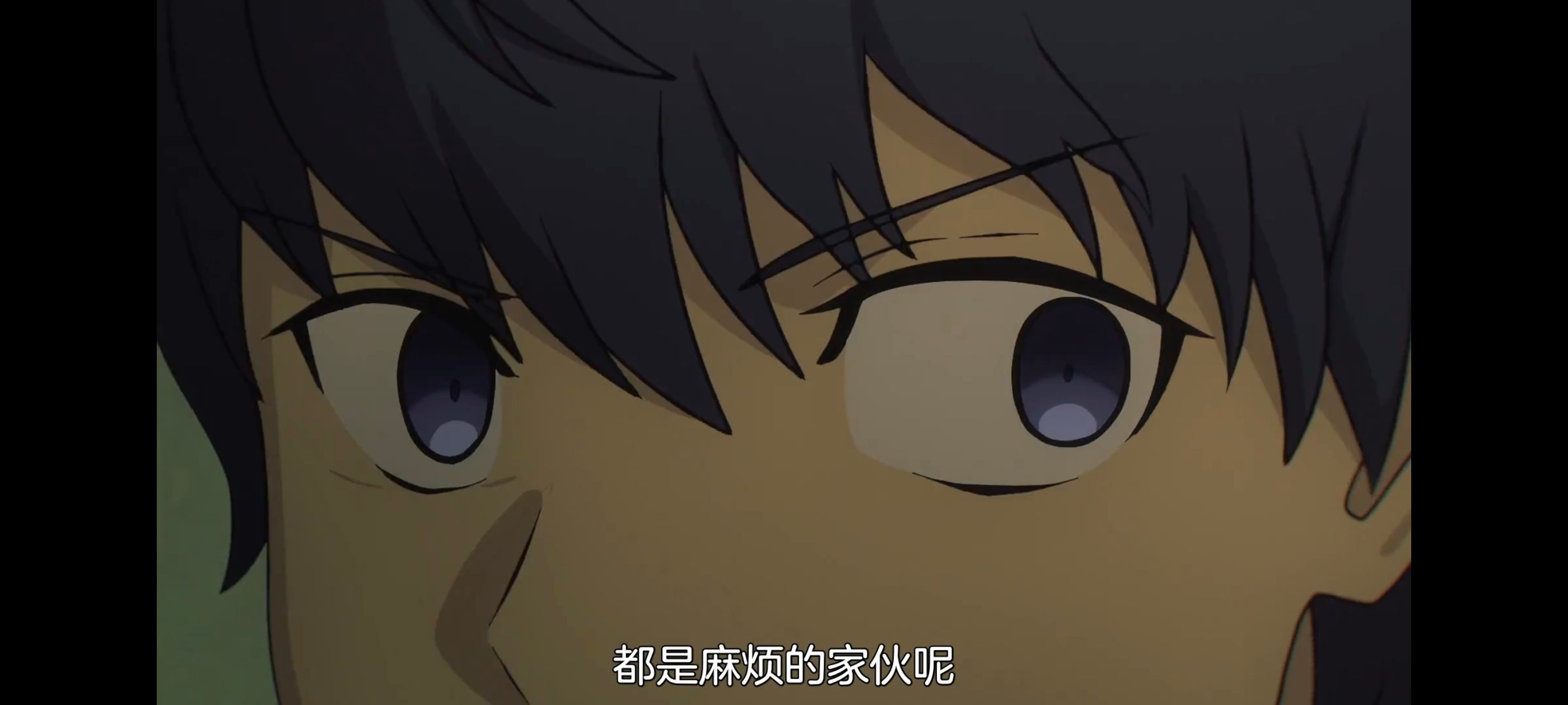 命运奇异赝品,FatestrangeFake,FATE,动画,动漫,番剧,二次元,ACG