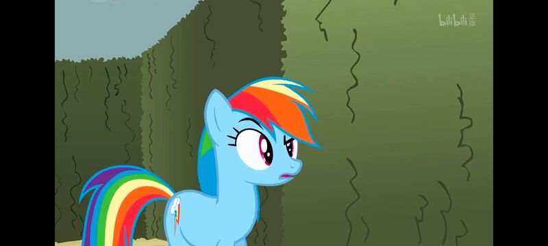 小马宝莉,小马宝莉友谊魔法,彩虹小马,我的小马驹,动画,动漫,番剧,ACG
