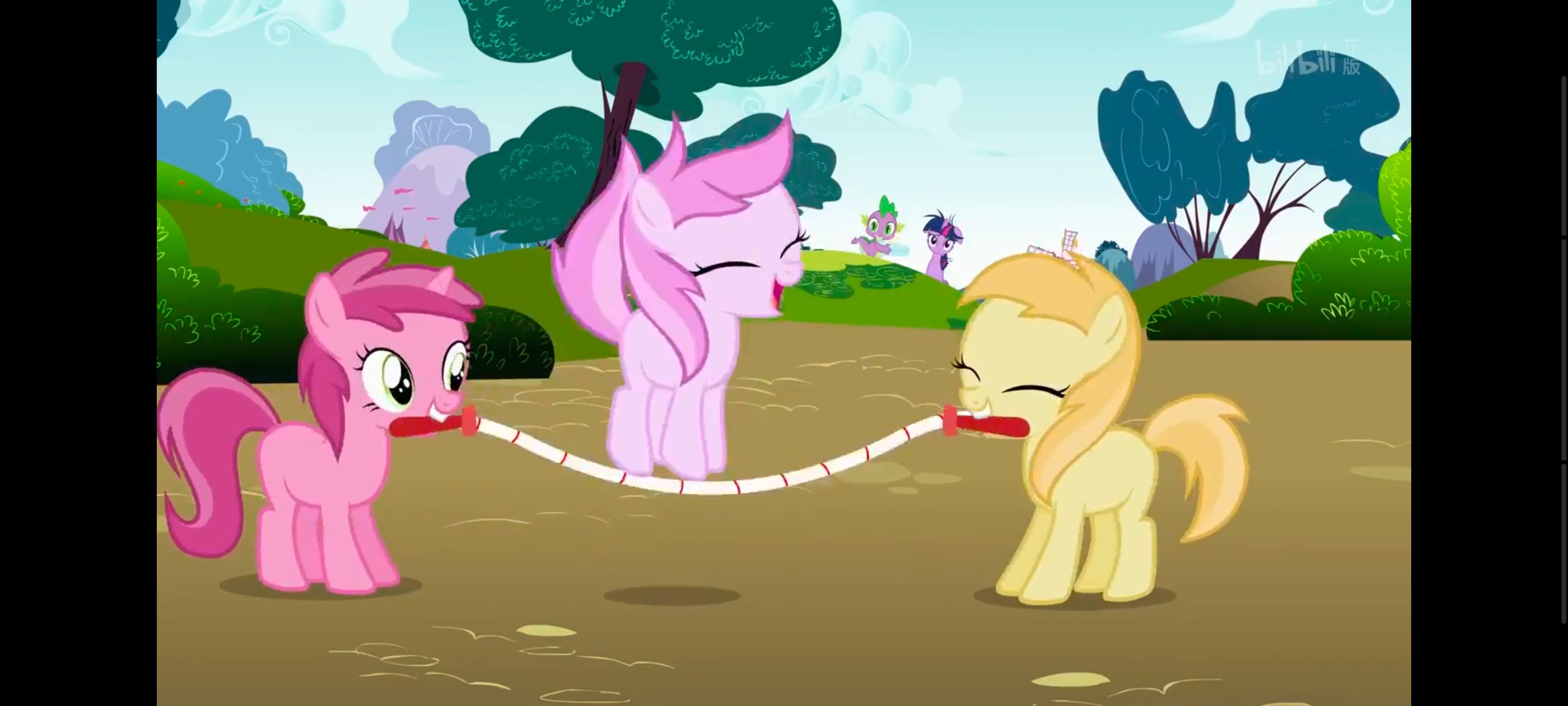 小马宝莉,小马宝莉友谊魔法,彩虹小马,我的小马驹,动画,动漫,番剧,ACG