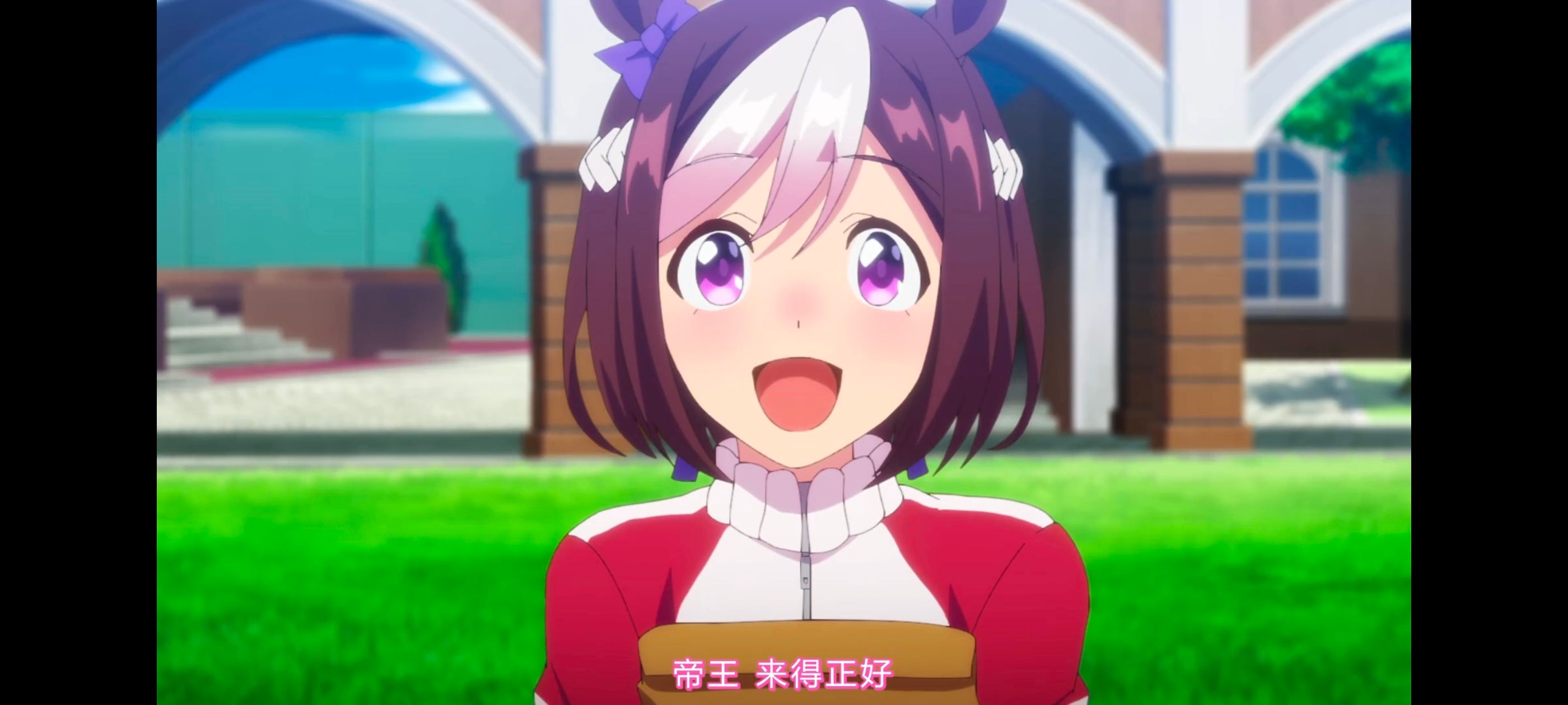 赛马娘,赛马娘PrettyDreby,赛马娘第二季,动画,动漫,番剧,二次元,ACG