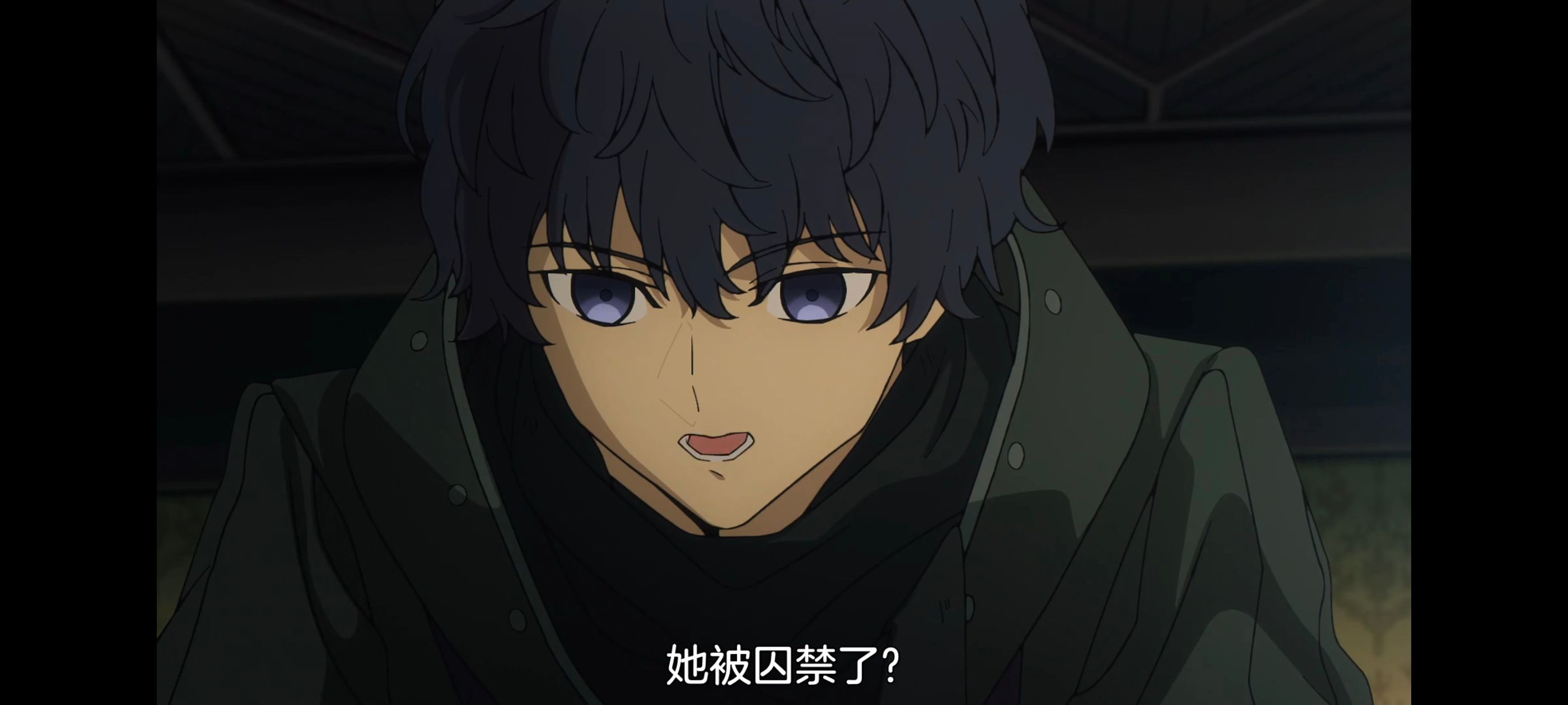 命运奇异赝品,FatestrangeFake,FATE,动画,动漫,番剧,二次元,ACG