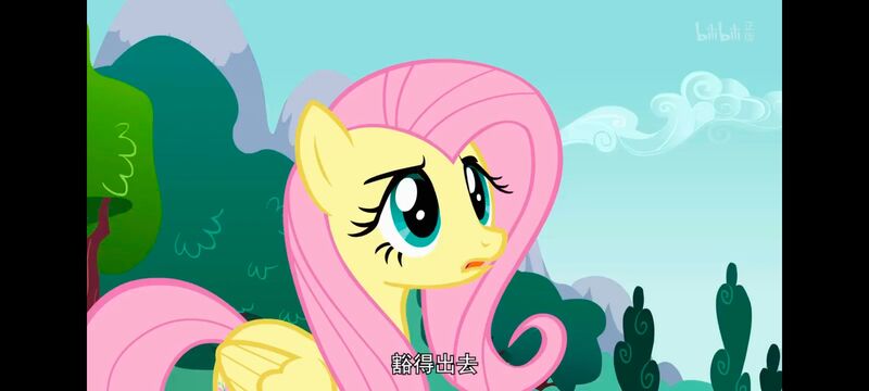 小马宝莉,小马宝莉友谊魔法,彩虹小马,我的小马驹,动画,动漫,番剧,ACG
