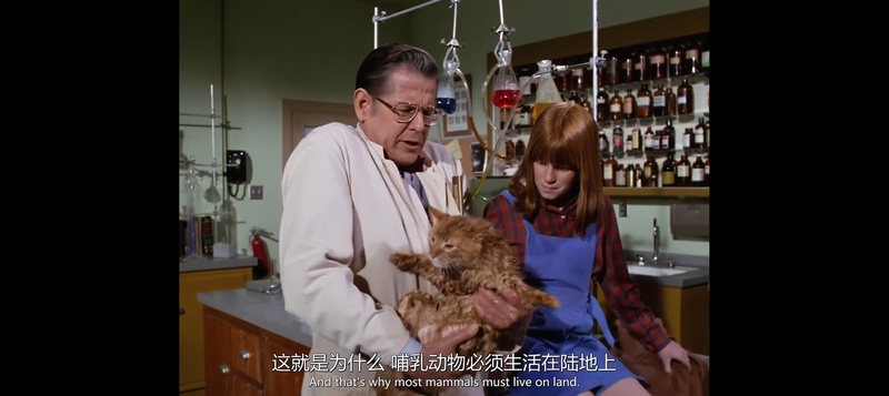 电视剧,文章,观后感,白头神探,Police Squad,in color,特警队,警察小队