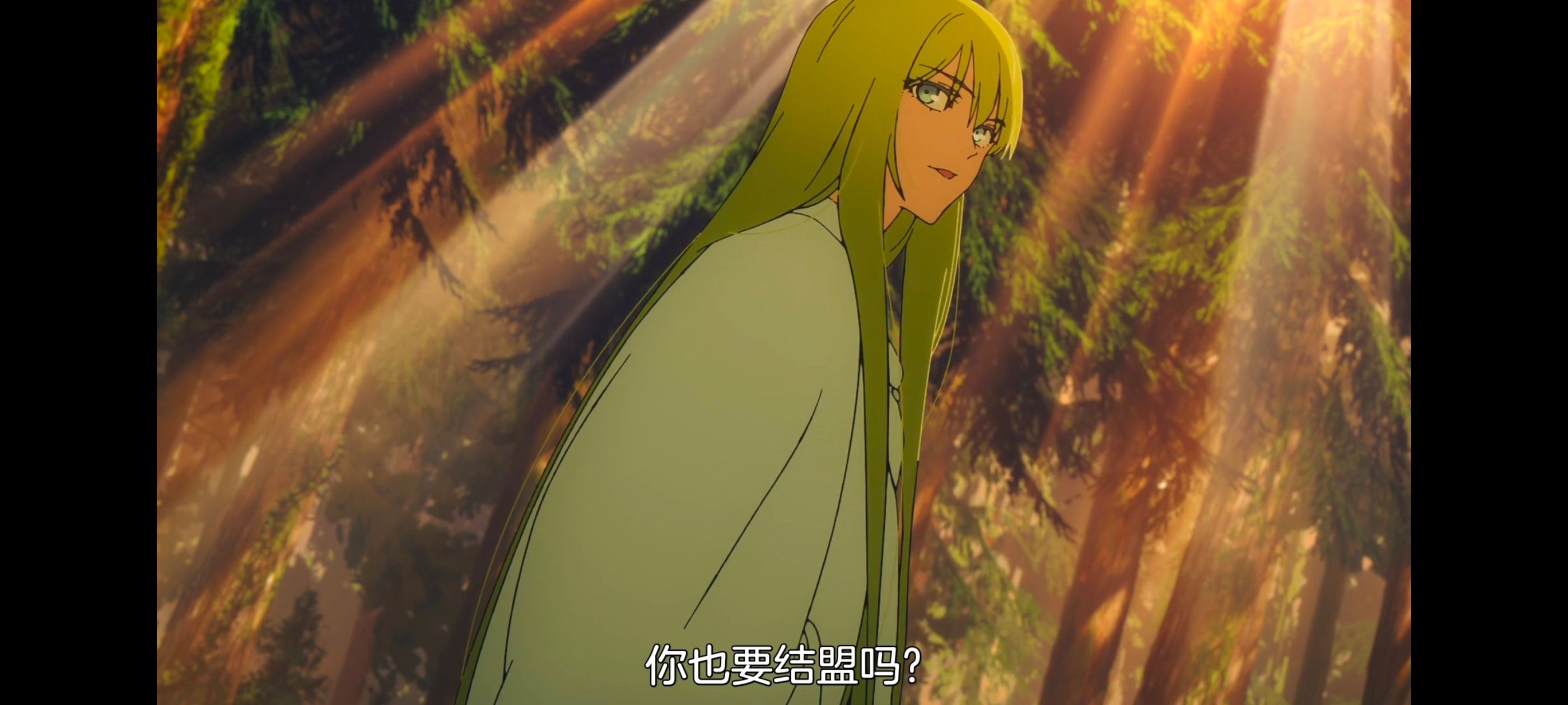 命运奇异赝品,FatestrangeFake,动画,动漫,番剧,ACG