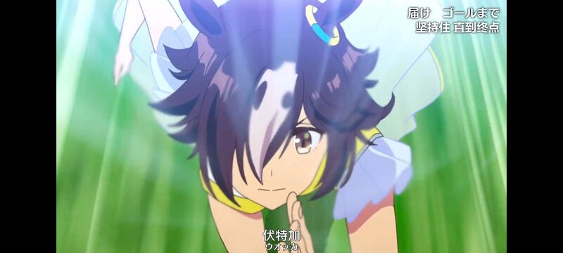 赛马娘,赛马娘PrettyDreby,动画,动漫,番剧,ACG