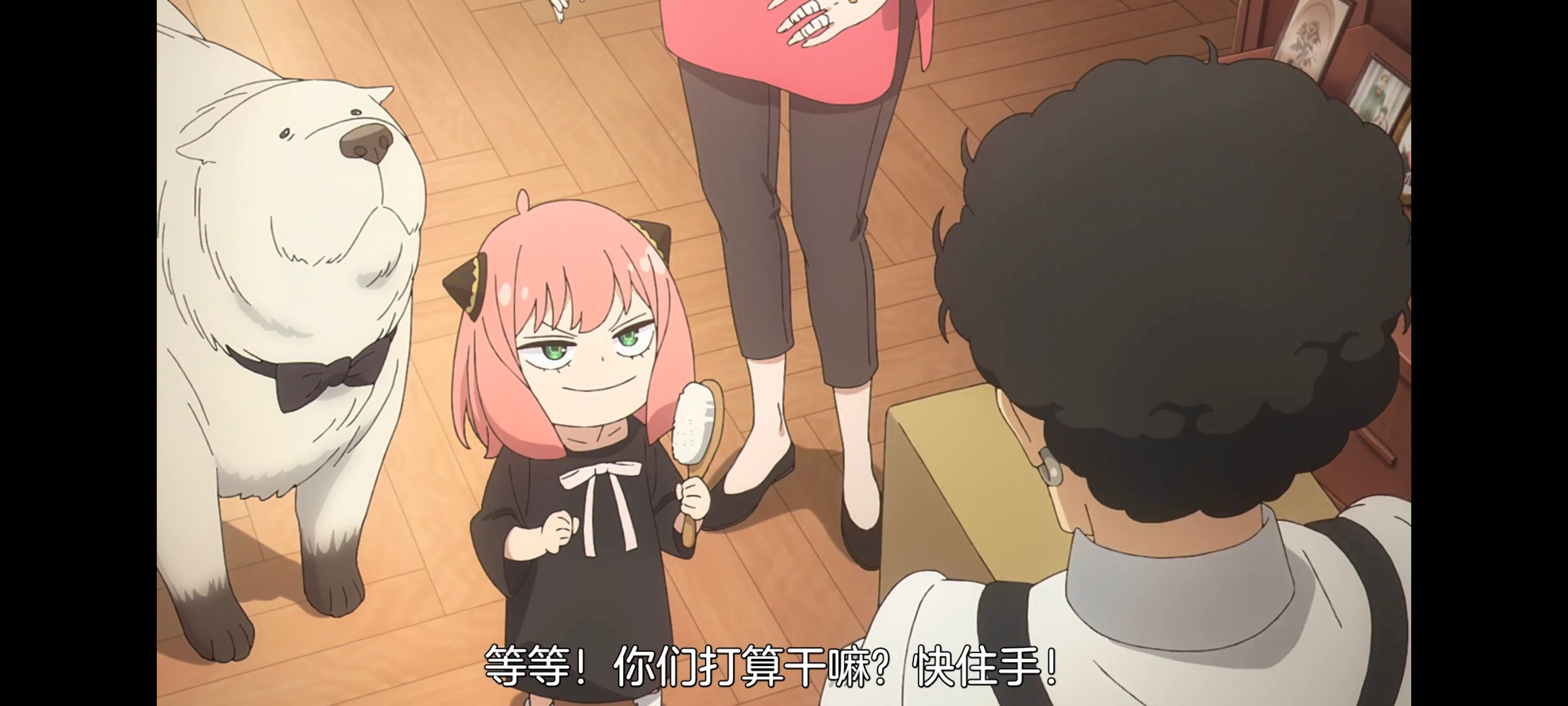 间谍过家家,SPYFAMILY,动画,动漫,番剧,ACG