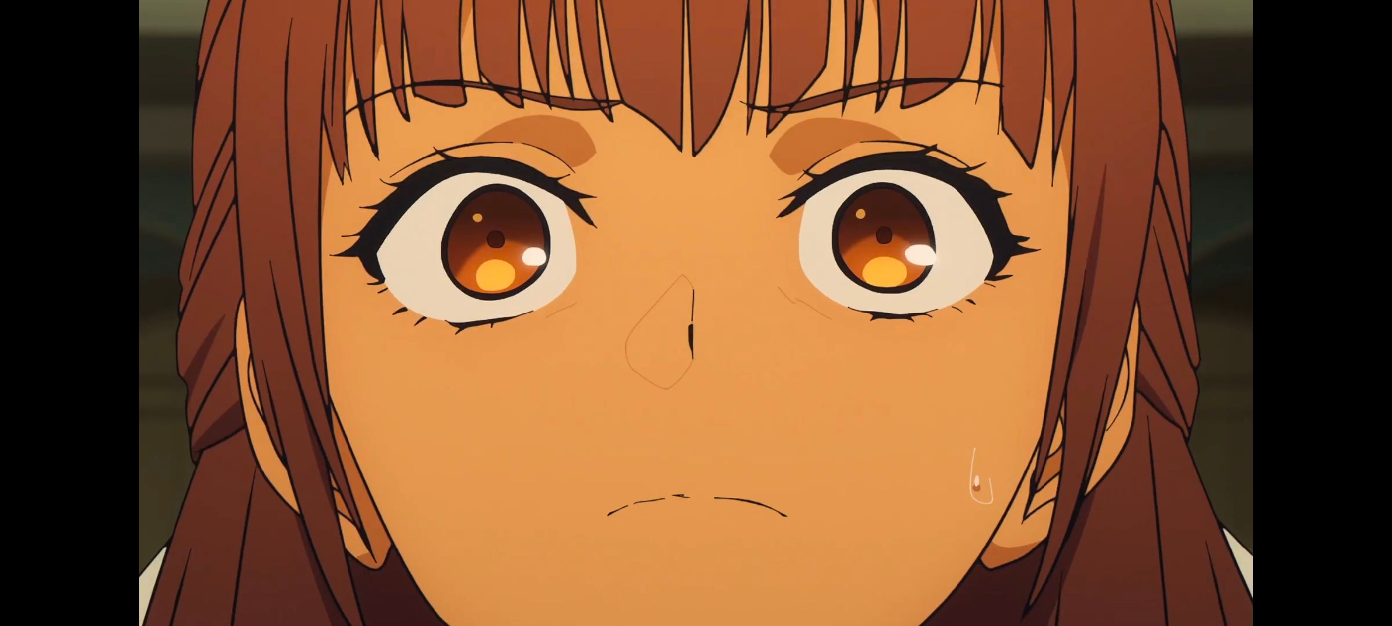 命运奇异赝品,FatestrangeFake,动画,动漫,番剧,ACG