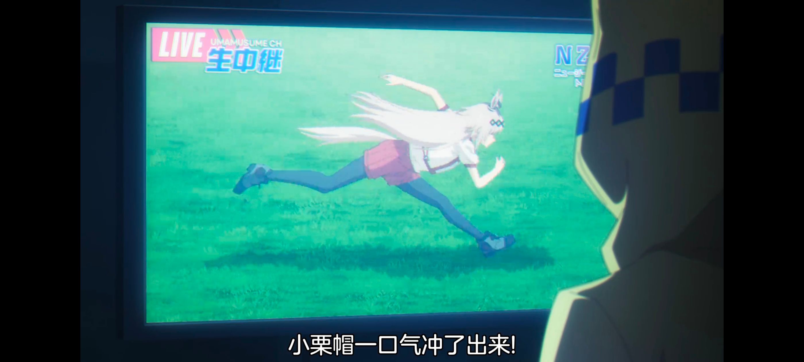 赛马娘,赛马娘PrettyDreby,芦毛灰姑娘,赛马娘芦毛灰姑娘,动画,动漫,番剧,ACG