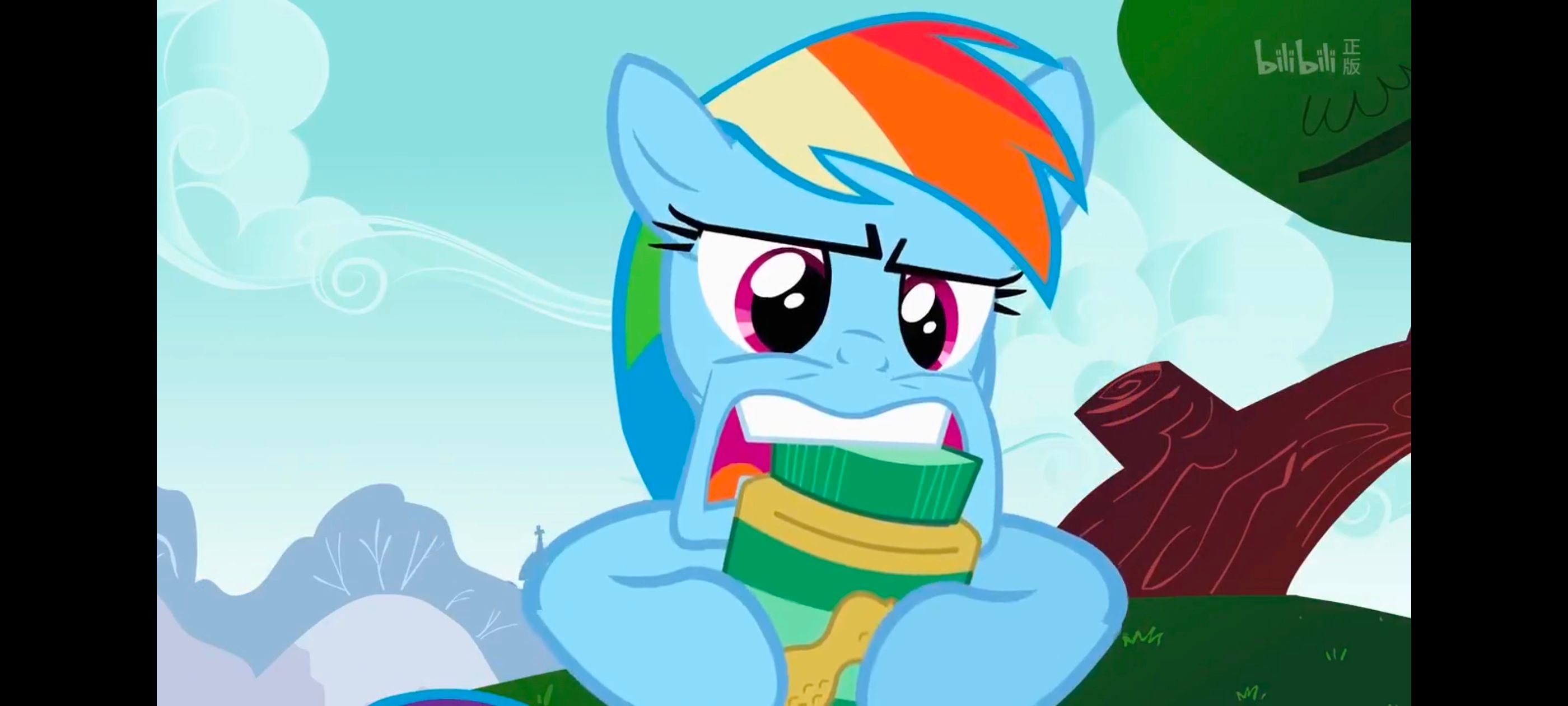 小马宝莉,彩虹小马,我的小马驹,动画,动漫,番剧,ACG