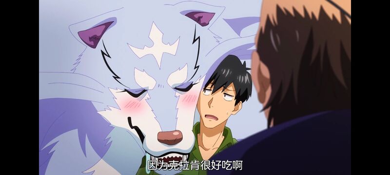 网购技能开启异世界美食之旅,拥有超常技能的异世界流浪美食家,动画,动漫,番剧,ACG