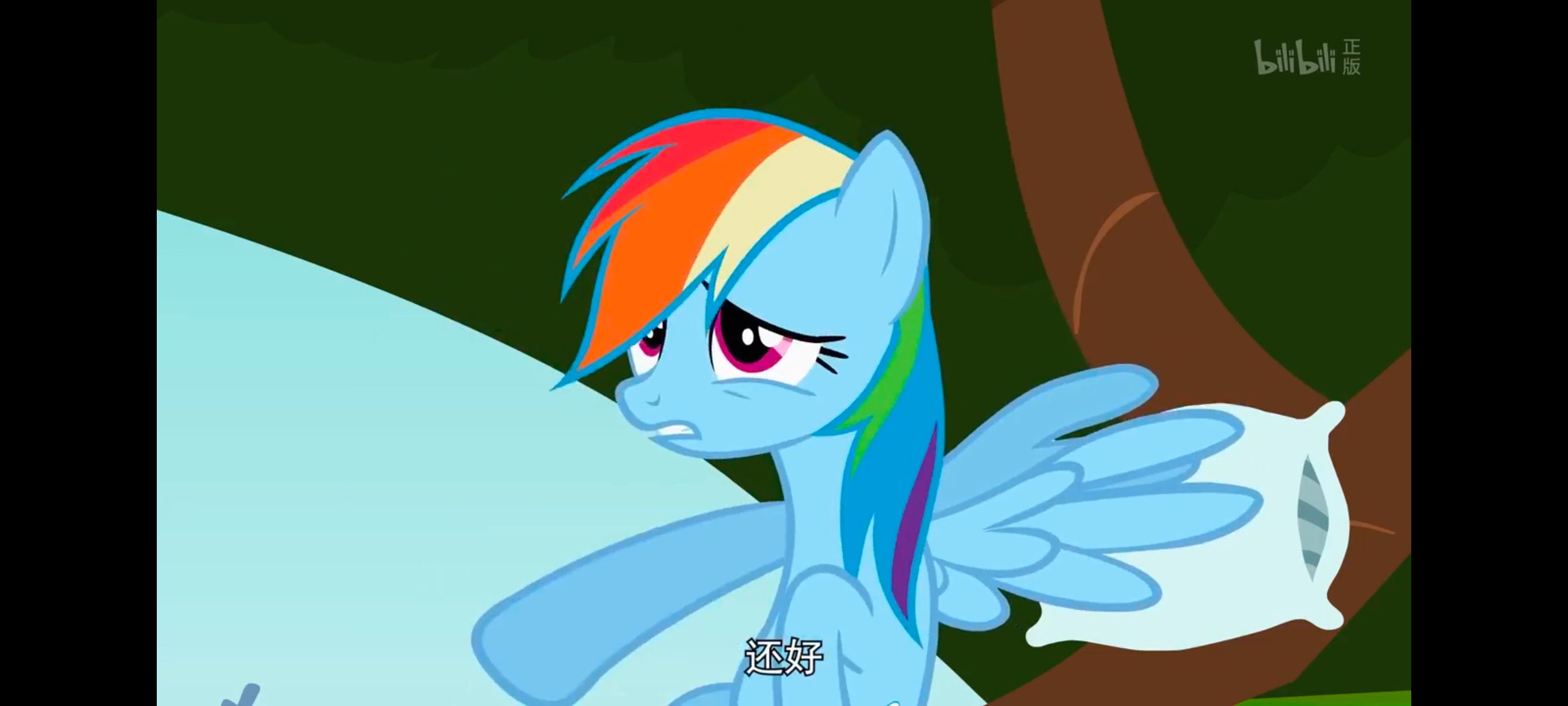 小马宝莉,彩虹小马,我的小马驹,动画,动漫,番剧,二次元,ACG