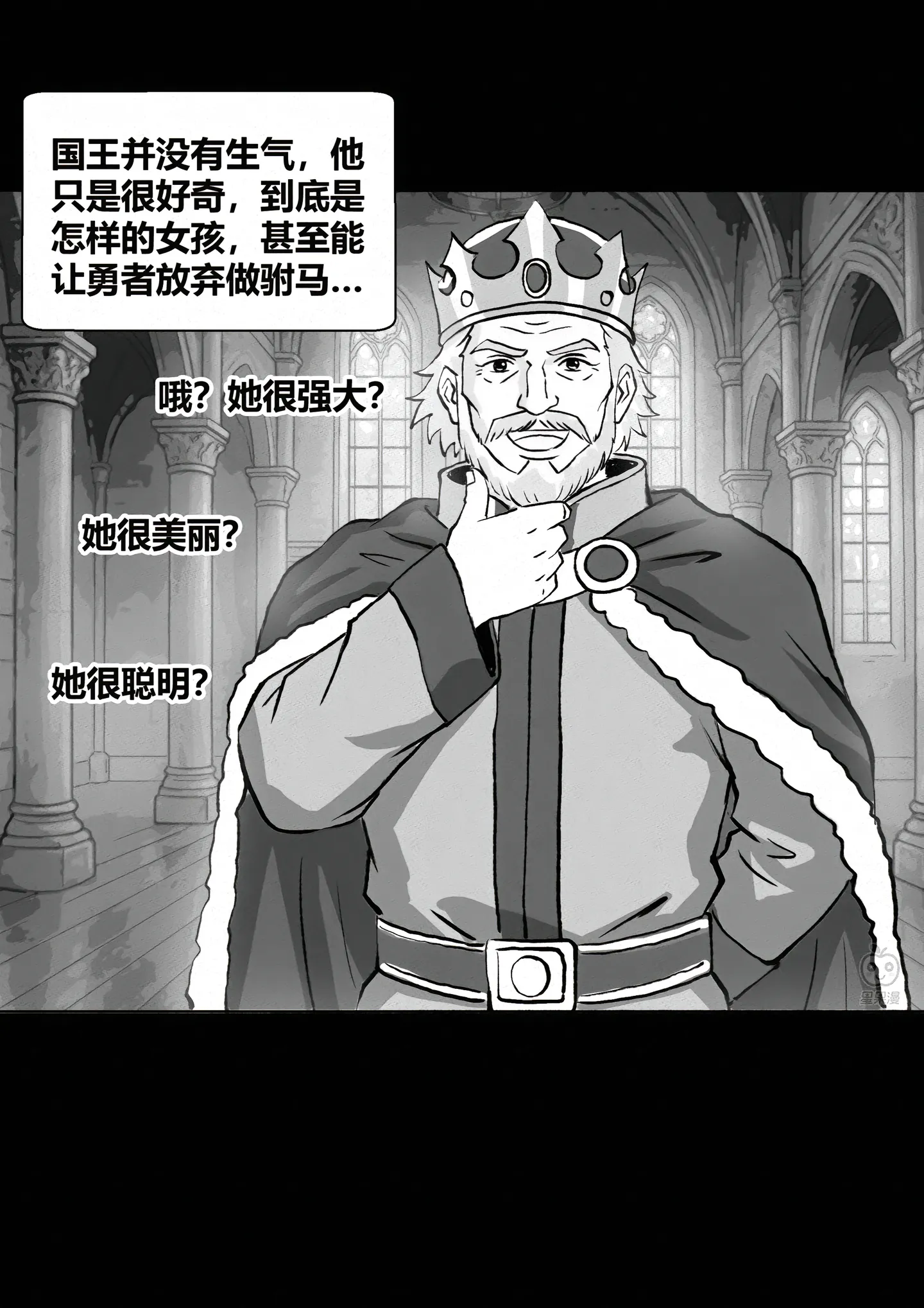 纯爱,纳税,公主,精灵,预言家,预言,国王,勇者