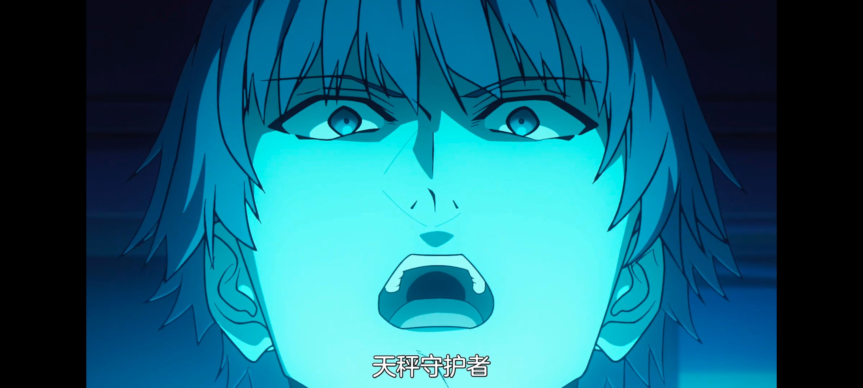 命运奇异赝品,FatestrangeFake,动画,动漫,番剧,ACG